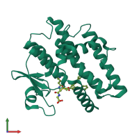 PDB entry 8a0i coloured by chain, front view.