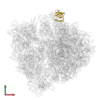 Large ribosomal subunit protein uL18 in PDB entry 8a3l, assembly 1, front view.