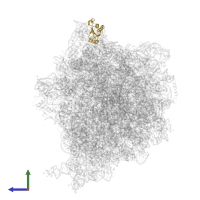 Large ribosomal subunit protein uL18 in PDB entry 8a3l, assembly 1, side view.