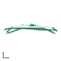 Homo dimeric assembly 2 of PDB entry 8amr coloured by chemically distinct molecules, front view.