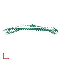 Tripartite motif-containing protein 3 in PDB entry 8amr, assembly 2, front view.