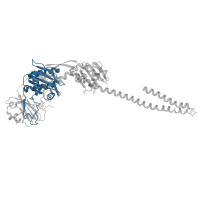 The deposited structure of PDB entry 8avw contains 2 copies of Pfam domain PF01590 (GAF domain) in Bacteriophytochrome. Showing 1 copy in chain B.