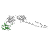 The deposited structure of PDB entry 8avw contains 2 copies of Pfam domain PF08446 (PAS fold) in Bacteriophytochrome. Showing 1 copy in chain B.