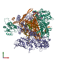Hetero hexameric assembly 1 of PDB entry 8be0 coloured by chemically distinct molecules, front view.