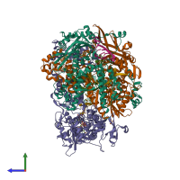 Hetero hexameric assembly 1 of PDB entry 8be0 coloured by chemically distinct molecules, side view.