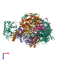 Hetero hexameric assembly 1 of PDB entry 8be0 coloured by chemically distinct molecules, top view.