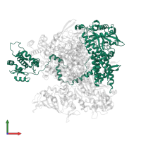 Polymerase acidic protein in PDB entry 8be0, assembly 1, front view.