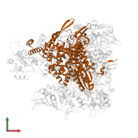 RNA-directed RNA polymerase catalytic subunit in PDB entry 8be0, assembly 1, front view.