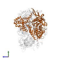 RNA-directed RNA polymerase catalytic subunit in PDB entry 8be0, assembly 1, side view.