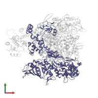 Polymerase basic protein 2 in PDB entry 8be0, assembly 1, front view.