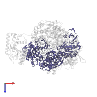 Polymerase basic protein 2 in PDB entry 8be0, assembly 1, top view.