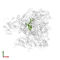 3' vRNA in PDB entry 8be0, assembly 1, front view.
