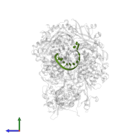 3' vRNA in PDB entry 8be0, assembly 1, side view.