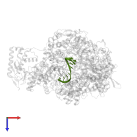 3' vRNA in PDB entry 8be0, assembly 1, top view.