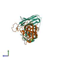 Hetero dimeric assembly 1 of PDB entry 8bg2 coloured by chemically distinct molecules, side view.