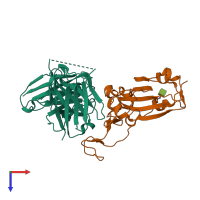 Hetero dimeric assembly 1 of PDB entry 8bg2 coloured by chemically distinct molecules, top view.