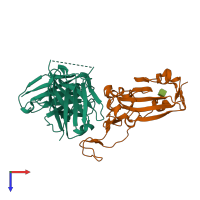 Hetero dimeric assembly 2 of PDB entry 8bg2 coloured by chemically distinct molecules, top view.