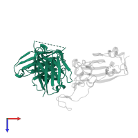 pT1375 single-chain Fv in PDB entry 8bg2, assembly 1, top view.
