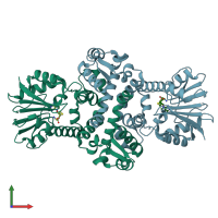 PDB entry 8bie coloured by chain, front view.
