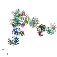 PDB entry 8boz coloured by chain, front view.
