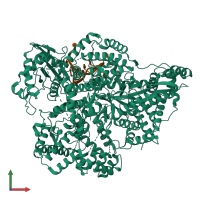 PDB entry 8c4t coloured by chain, front view.