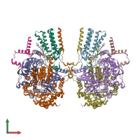 PDB entry 8c82 coloured by chain, front view.