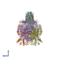PDB entry 8c82 coloured by chain, side view.
