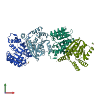 PDB entry 8c9t coloured by chain, front view.
