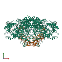 Hetero tetrameric assembly 1 of PDB entry 8cgs coloured by chemically distinct molecules, front view.