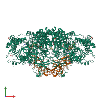 Hetero tetrameric assembly 2 of PDB entry 8cgs coloured by chemically distinct molecules, front view.