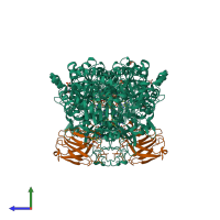 Hetero tetrameric assembly 2 of PDB entry 8cgs coloured by chemically distinct molecules, side view.