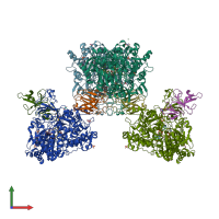 PDB entry 8cgs coloured by chain, front view.