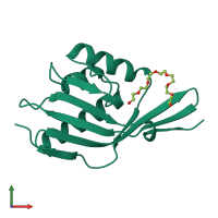 PDB entry 8cho coloured by chain, front view.