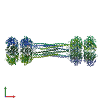 PDB entry 8dba coloured by chain, front view.