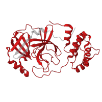 The deposited structure of PDB entry 8dkk contains 1 copy of Pfam domain PF05409 (Coronavirus endopeptidase C30) in 3C-like proteinase nsp5. Showing 1 copy in chain A.