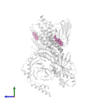 CHOLESTEROL in PDB entry 8dph, assembly 1, side view.