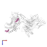 CHOLESTEROL in PDB entry 8dph, assembly 1, top view.