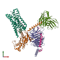PDB entry 8dpi coloured by chain, front view.