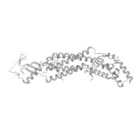 The deposited structure of PDB entry 8drk contains 15 copies of Pfam domain PF13855 (Leucine rich repeat) in Soluble cytochrome b562. Showing 3 copies in chain A (this domain is out of the observed residue ranges!).