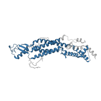 The deposited structure of PDB entry 8drk contains 1 copy of Pfam domain PF12534 (Pannexin-like TM region of LRRC8) in Volume-regulated anion channel subunit LRRC8C. Showing 1 copy in chain F.