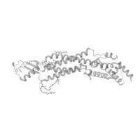 The deposited structure of PDB entry 8drk contains 2 copies of Pfam domain PF13855 (Leucine rich repeat) in Volume-regulated anion channel subunit LRRC8C. Showing 2 copies in chain F (this domain is out of the observed residue ranges!).