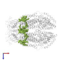 1,2-dioleoyl-sn-glycero-3-phosphoethanolamine in PDB entry 8drk, assembly 1, top view.