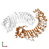 Volume-regulated anion channel subunit LRRC8C in PDB entry 8drn, assembly 1, front view.