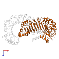 Volume-regulated anion channel subunit LRRC8C in PDB entry 8drn, assembly 1, top view.