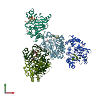 PDB entry 8dzk coloured by chain, front view.