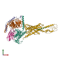 PDB entry 8e3y coloured by chain, front view.