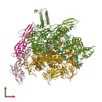PDB entry 8eh8 coloured by chain, front view.