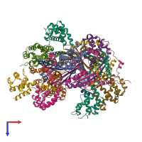 PDB entry 8f2u coloured by chain, top view.