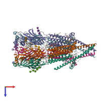 PDB entry 8f6z coloured by chain, top view.