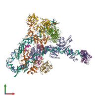 PDB entry 8ffz coloured by chain, front view.